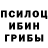 Галлюциногенные грибы Psilocybine cubensis SKILLER TV