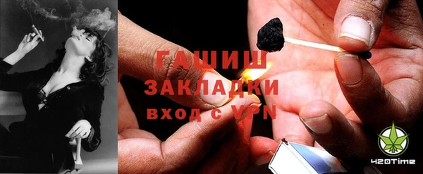 прущие грибы Арсеньев