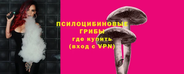 прущие грибы Арсеньев