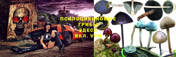стаф Армянск