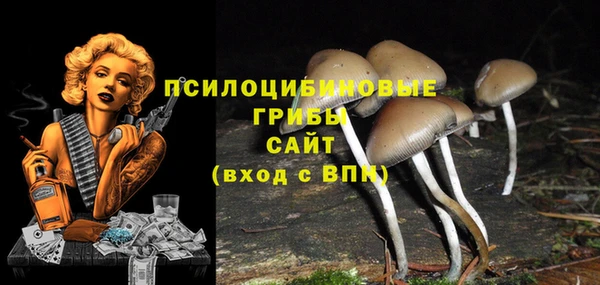 MDMA Аркадак
