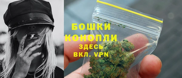 прущие грибы Арсеньев
