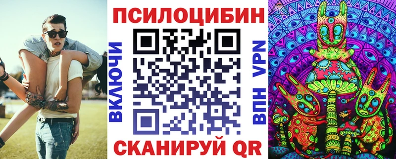 Псилоцибиновые грибы Psilocybine cubensis  Камышин 